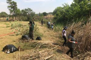 Alien Invasive Removal Day 2018